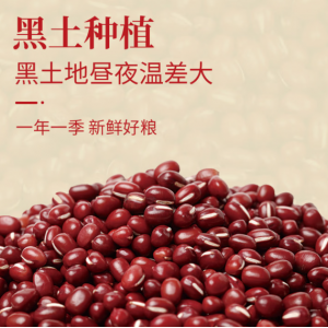精选红小豆5斤 五谷杂粮粗粮红豆 大米伴侣 豆浆奶茶配料早餐粥 精选红小豆2.5kg
